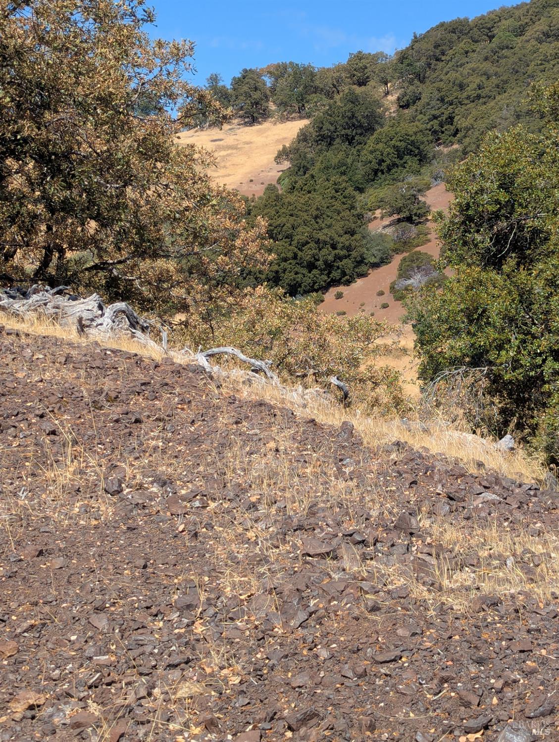 Detail Gallery Image 29 of 29 For 0 Registered Guest Rd, Laytonville,  CA 95454 - – Beds | – Baths