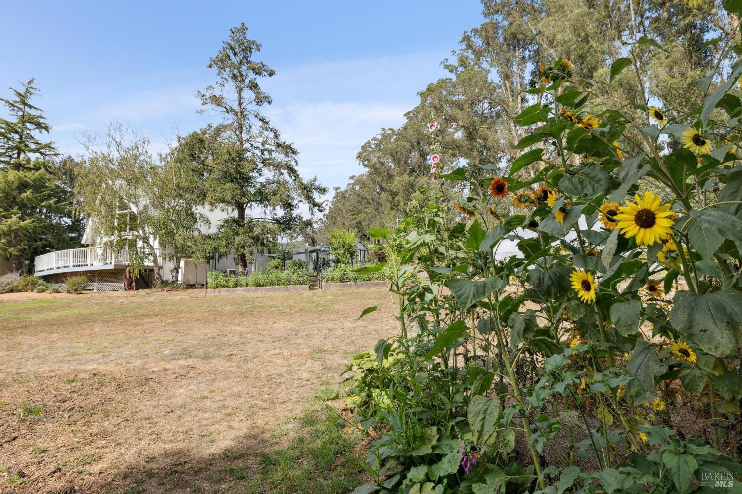 Detail Gallery Image 42 of 62 For 5611 Blank Rd, Sebastopol,  CA 95472 - 3 Beds | 2 Baths