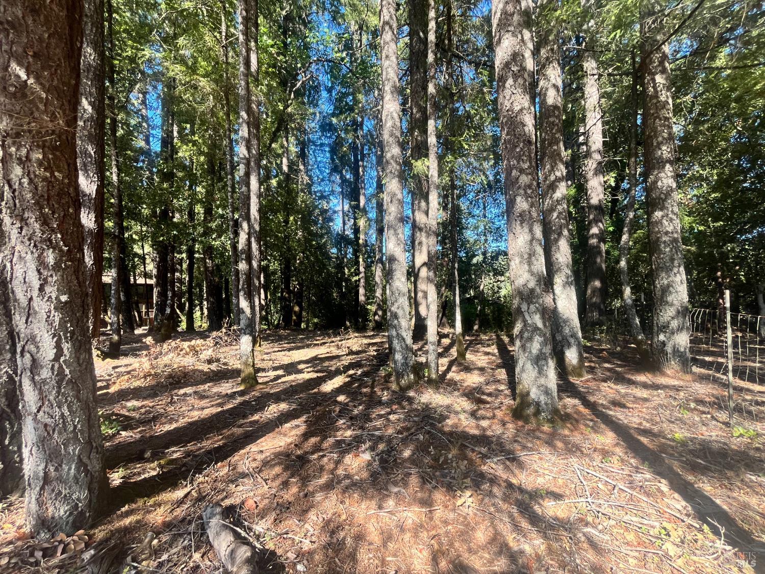 Detail Gallery Image 3 of 5 For 25201 Sherwood Rd, Willits,  CA 95490 - – Beds | – Baths