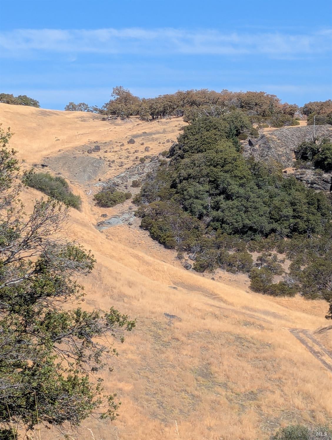 Detail Gallery Image 20 of 29 For 0 Registered Guest Rd, Laytonville,  CA 95454 - – Beds | – Baths