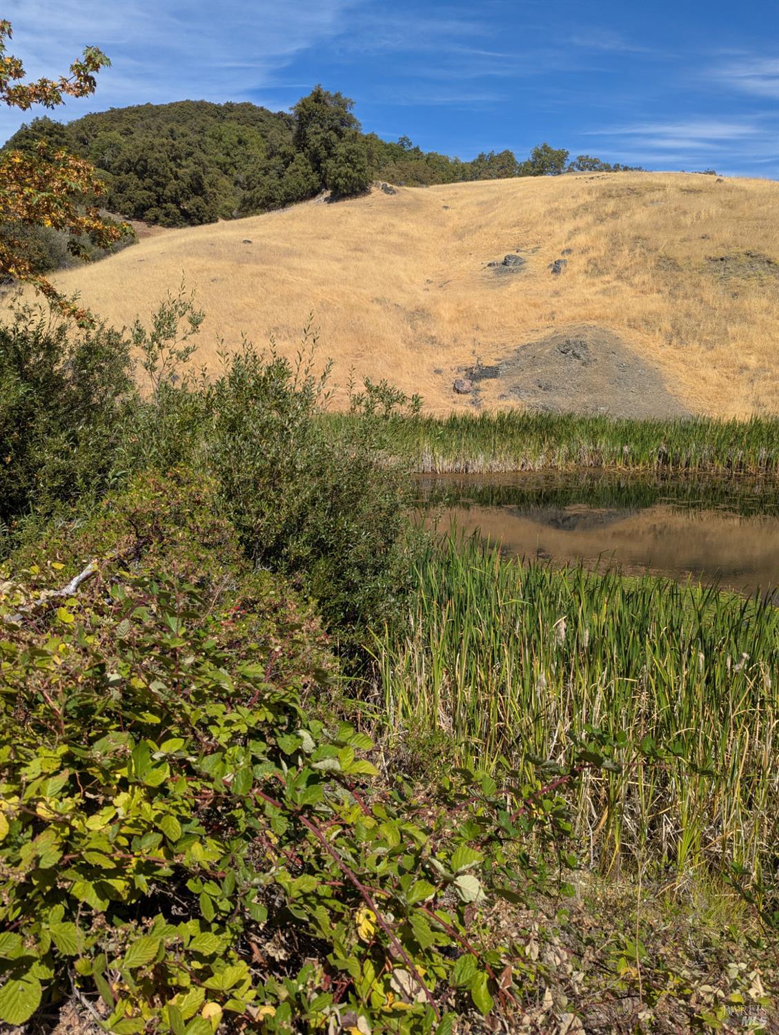 Detail Gallery Image 10 of 29 For 0 Registered Guest Rd, Laytonville,  CA 95454 - – Beds | – Baths