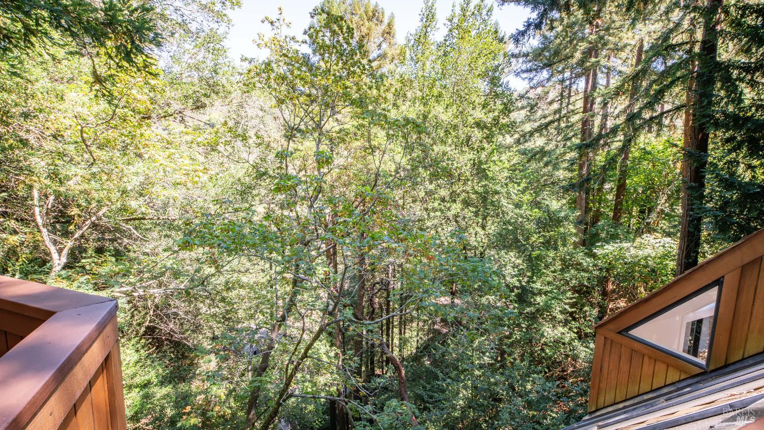 Detail Gallery Image 30 of 52 For 580 Ralston Ave, Mill Valley,  CA 94941 - 4 Beds | 3 Baths