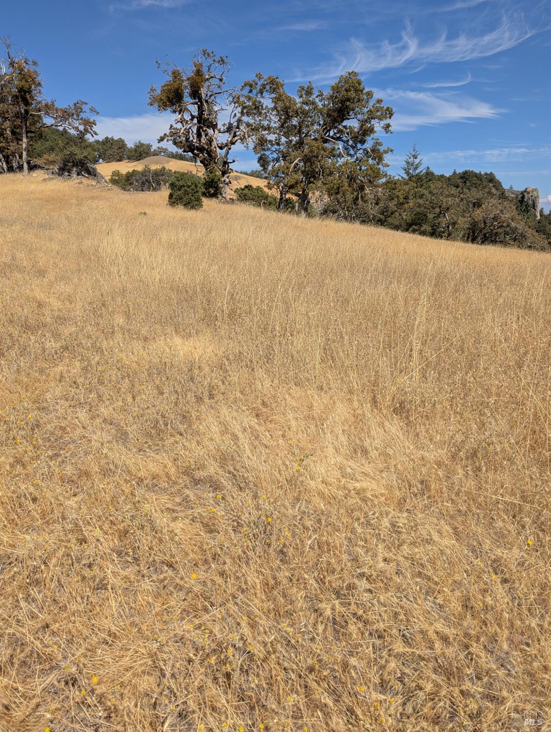 Detail Gallery Image 26 of 29 For 0 Registered Guest Rd, Laytonville,  CA 95454 - – Beds | – Baths
