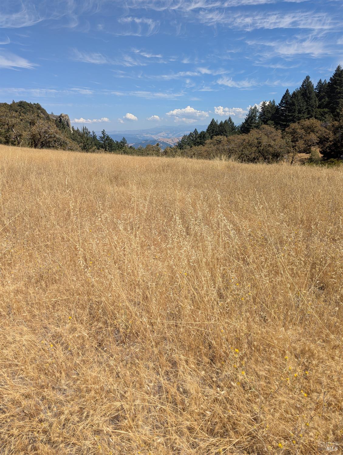 Detail Gallery Image 27 of 29 For 0 Registered Guest Rd, Laytonville,  CA 95454 - – Beds | – Baths