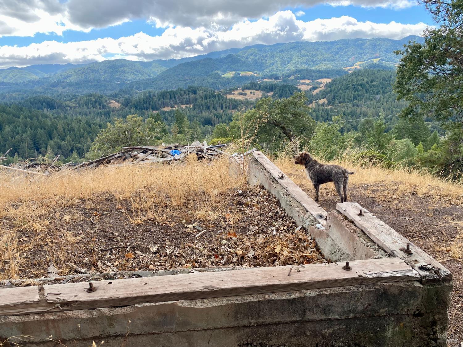 Detail Gallery Image 9 of 15 For 46700 Highway 101 Unkn, Laytonville,  CA 95454 - – Beds | – Baths
