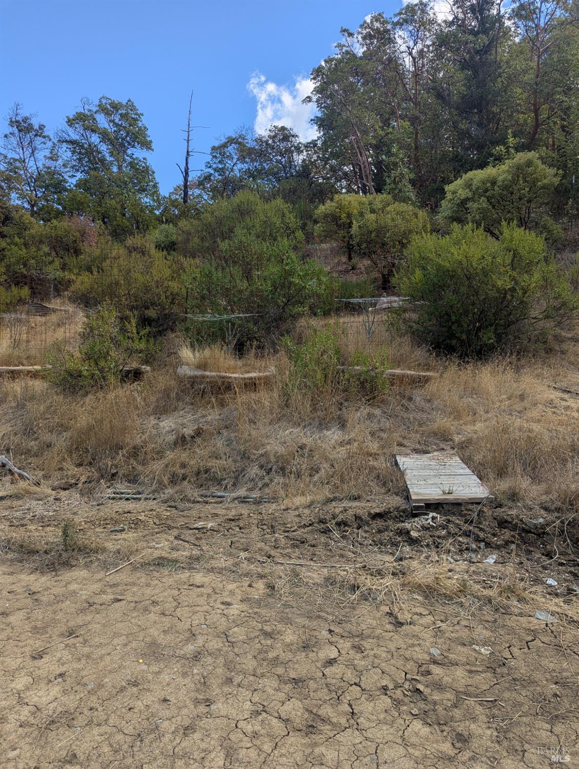 Detail Gallery Image 17 of 39 For 59002 George Washington Rock Rd, Leggett,  CA 95585 - – Beds | – Baths