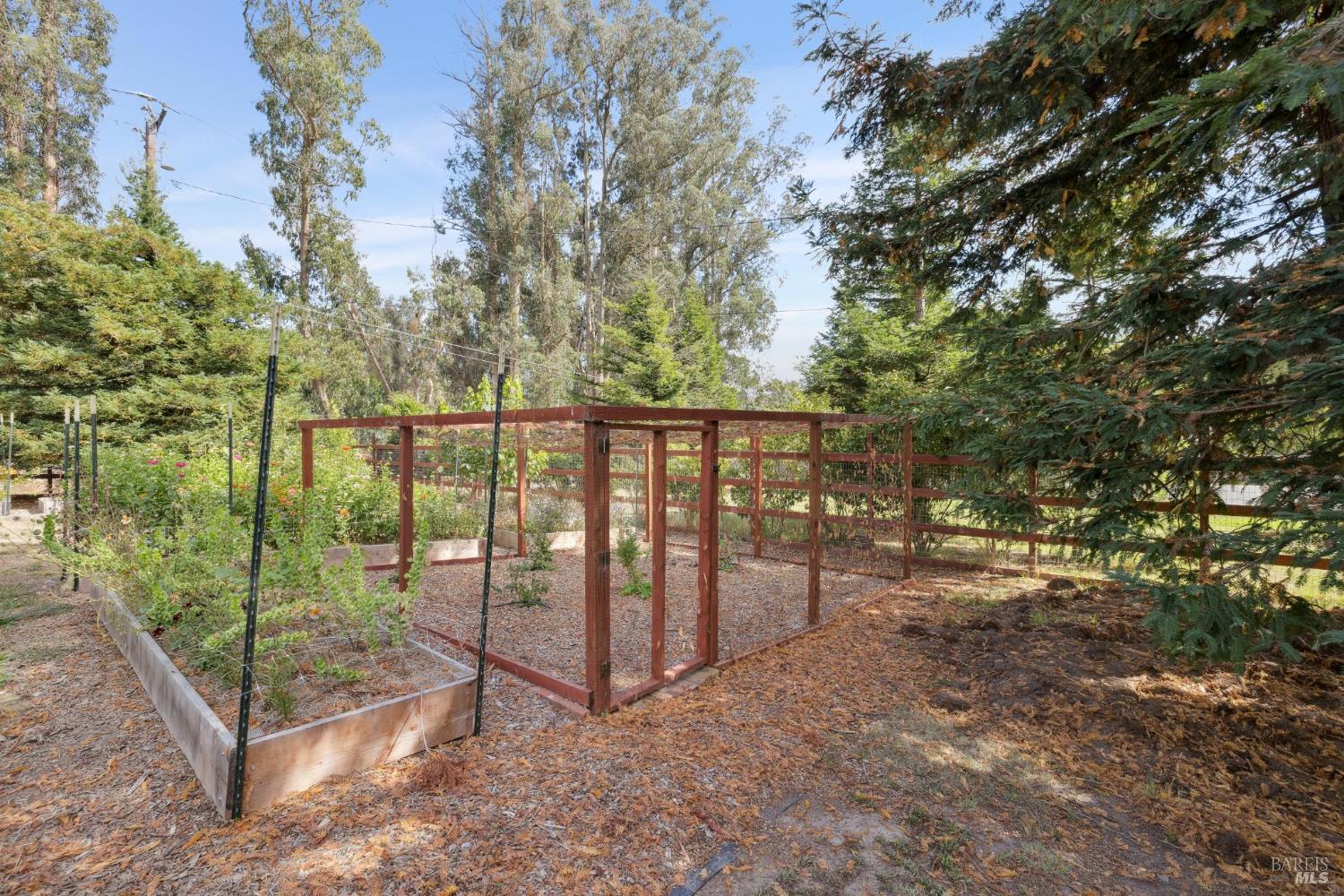 Detail Gallery Image 41 of 62 For 5611 Blank Rd, Sebastopol,  CA 95472 - 3 Beds | 2 Baths