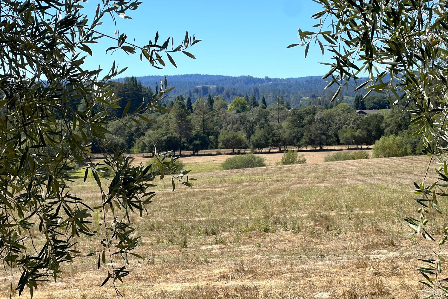 Detail Gallery Image 60 of 86 For 5290 Vine Hill Rd, Sebastopol,  CA 95472 - 3 Beds | 3 Baths