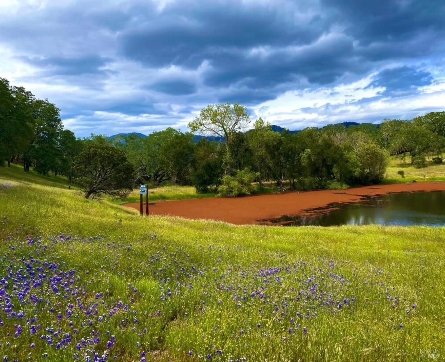 Detail Gallery Image 45 of 99 For 5175 Petrified Forest Rd, Calistoga,  CA 94515 - 3 Beds | 1 Baths