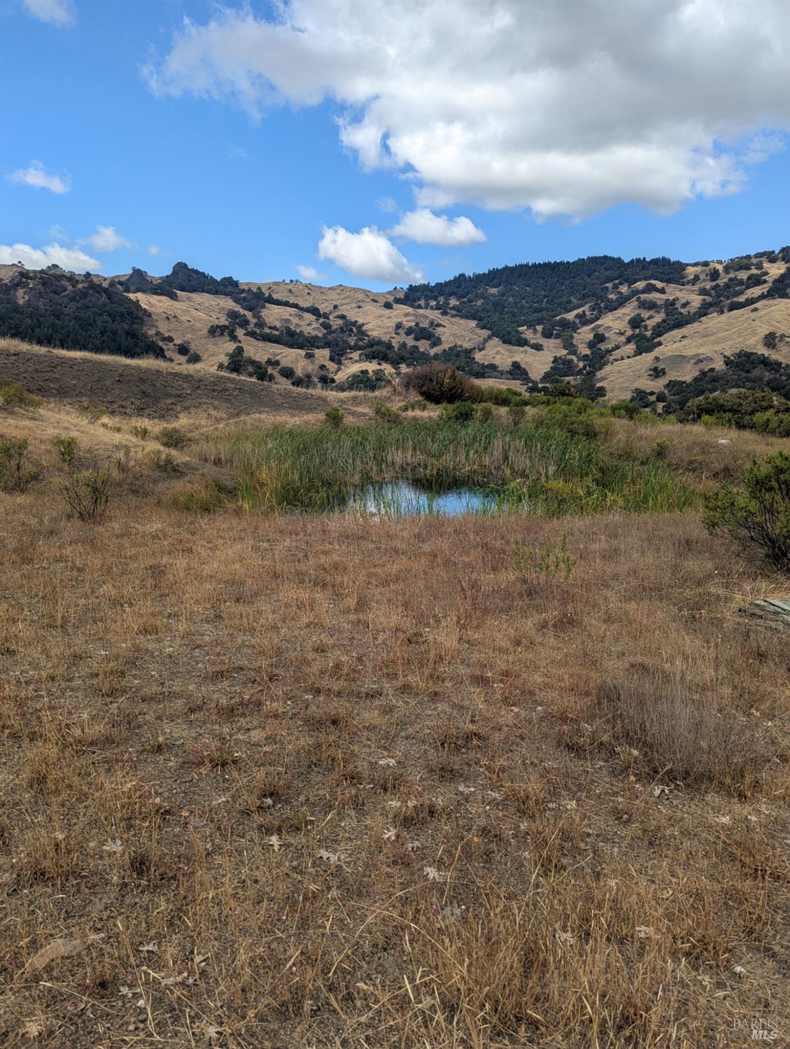 Detail Gallery Image 27 of 39 For 59002 George Washington Rock Rd, Leggett,  CA 95585 - – Beds | – Baths