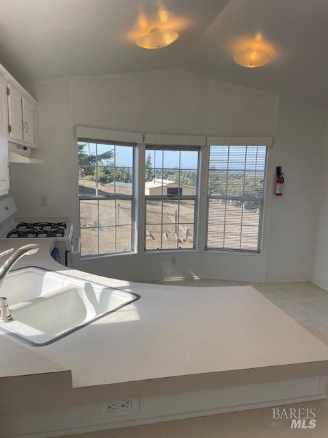 Detail Gallery Image 68 of 87 For 411 Highland Ave, Penngrove,  CA 94951 - 6 Beds | 5/1 Baths