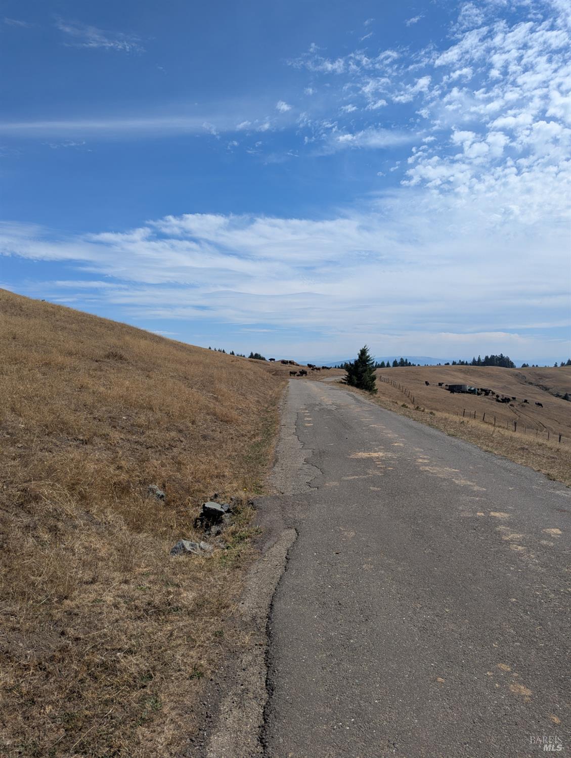 Detail Gallery Image 2 of 29 For 0 Registered Guest Rd, Laytonville,  CA 95454 - – Beds | – Baths