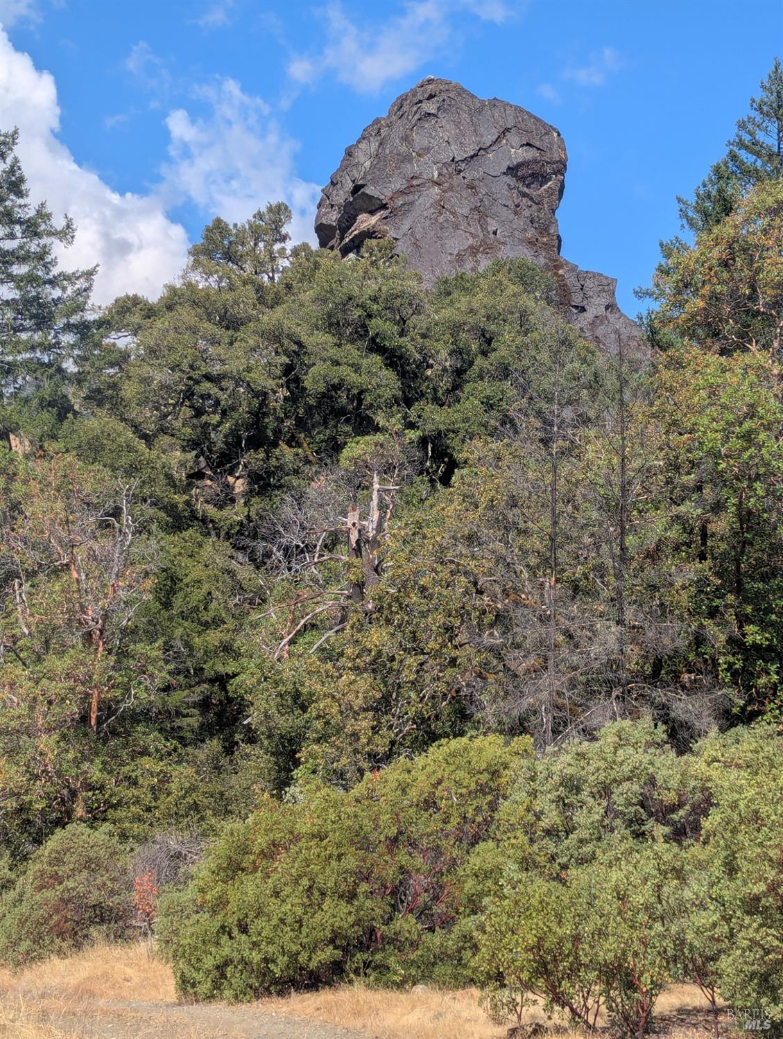 Detail Gallery Image 16 of 39 For 59002 George Washington Rock Rd, Leggett,  CA 95585 - – Beds | – Baths