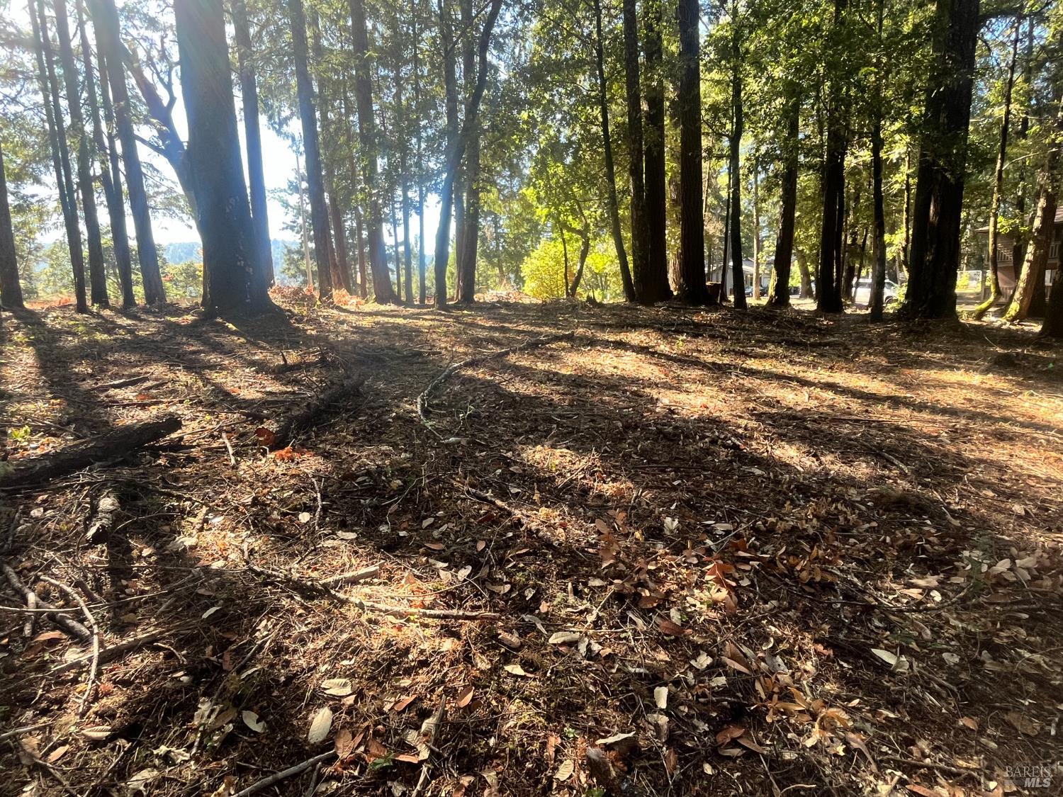 Detail Gallery Image 2 of 5 For 25201 Sherwood Rd, Willits,  CA 95490 - – Beds | – Baths