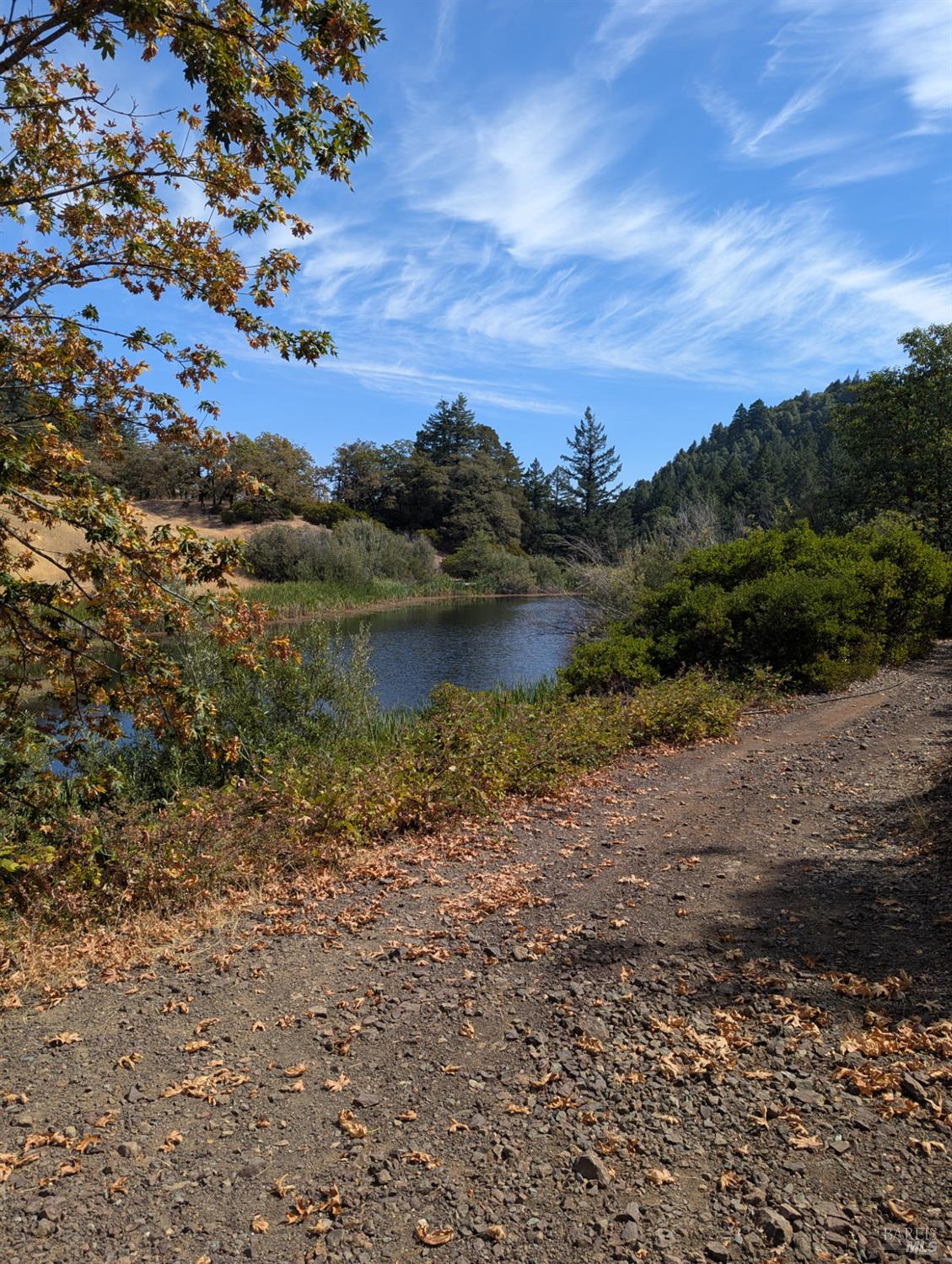 Detail Gallery Image 8 of 29 For 0 Registered Guest Rd, Laytonville,  CA 95454 - – Beds | – Baths