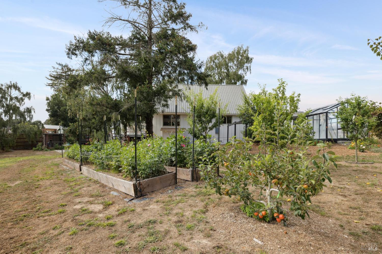 Detail Gallery Image 50 of 62 For 5611 Blank Rd, Sebastopol,  CA 95472 - 3 Beds | 2 Baths