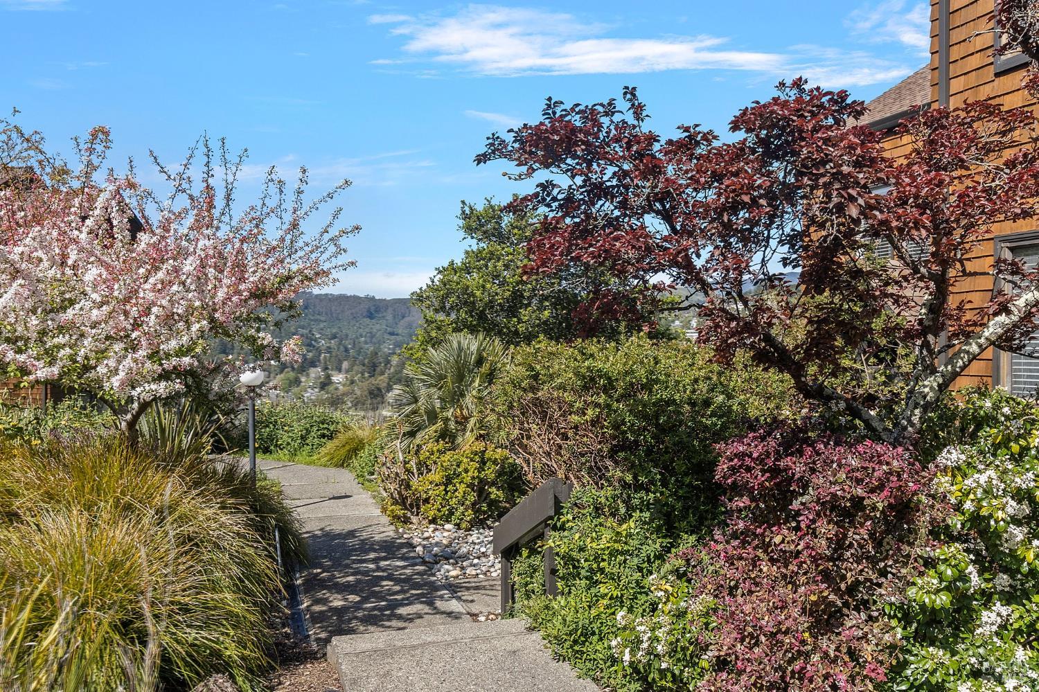 Detail Gallery Image 29 of 47 For 12 Ridgeview Ct, Sausalito,  CA 94965 - 2 Beds | 2/1 Baths