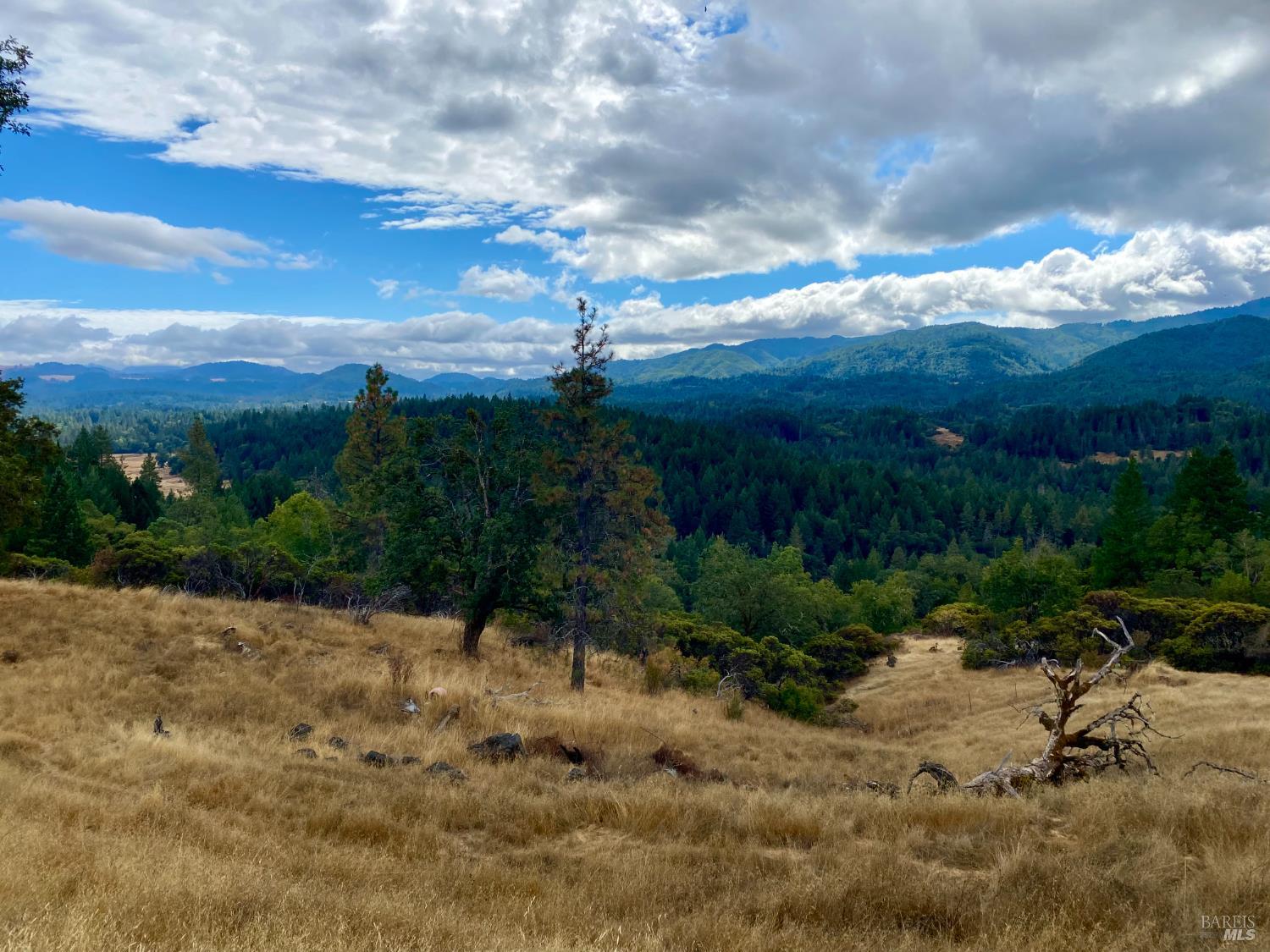 Detail Gallery Image 8 of 15 For 46700 Highway 101 Unkn, Laytonville,  CA 95454 - – Beds | – Baths