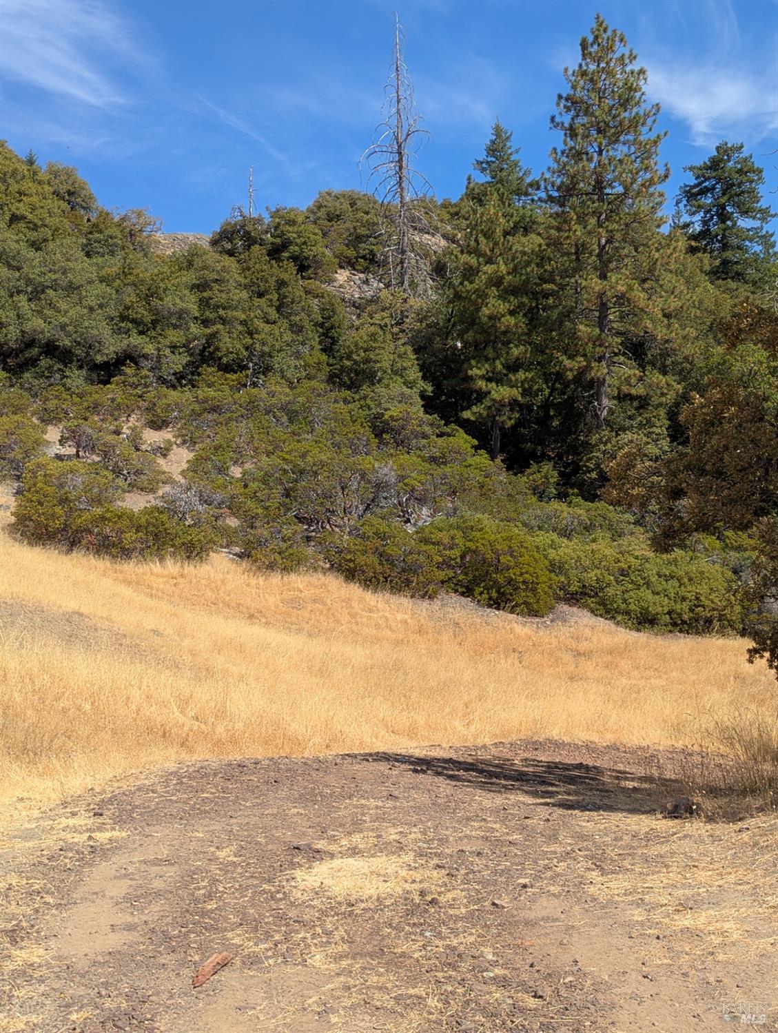 Detail Gallery Image 16 of 29 For 0 Registered Guest Rd, Laytonville,  CA 95454 - – Beds | – Baths