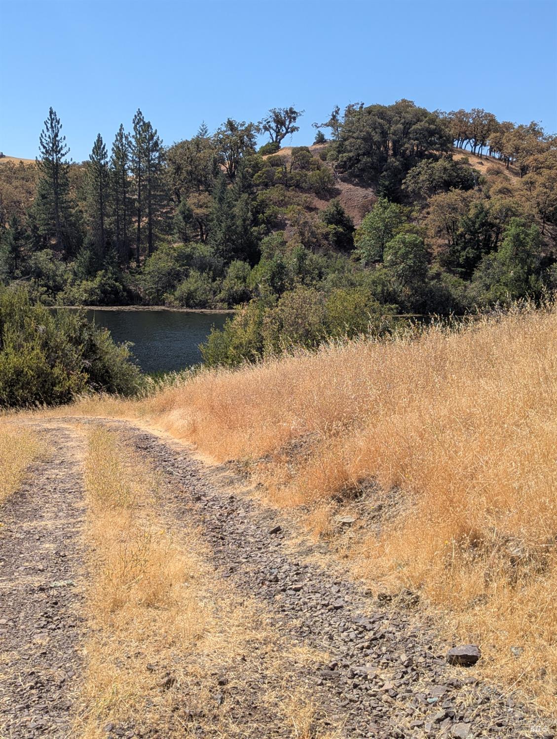 Detail Gallery Image 17 of 29 For 0 Registered Guest Rd, Laytonville,  CA 95454 - – Beds | – Baths