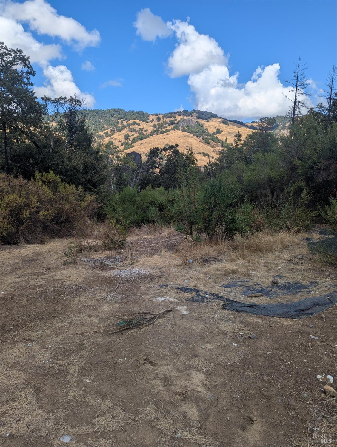 Detail Gallery Image 36 of 39 For 59002 George Washington Rock Rd, Leggett,  CA 95585 - – Beds | – Baths