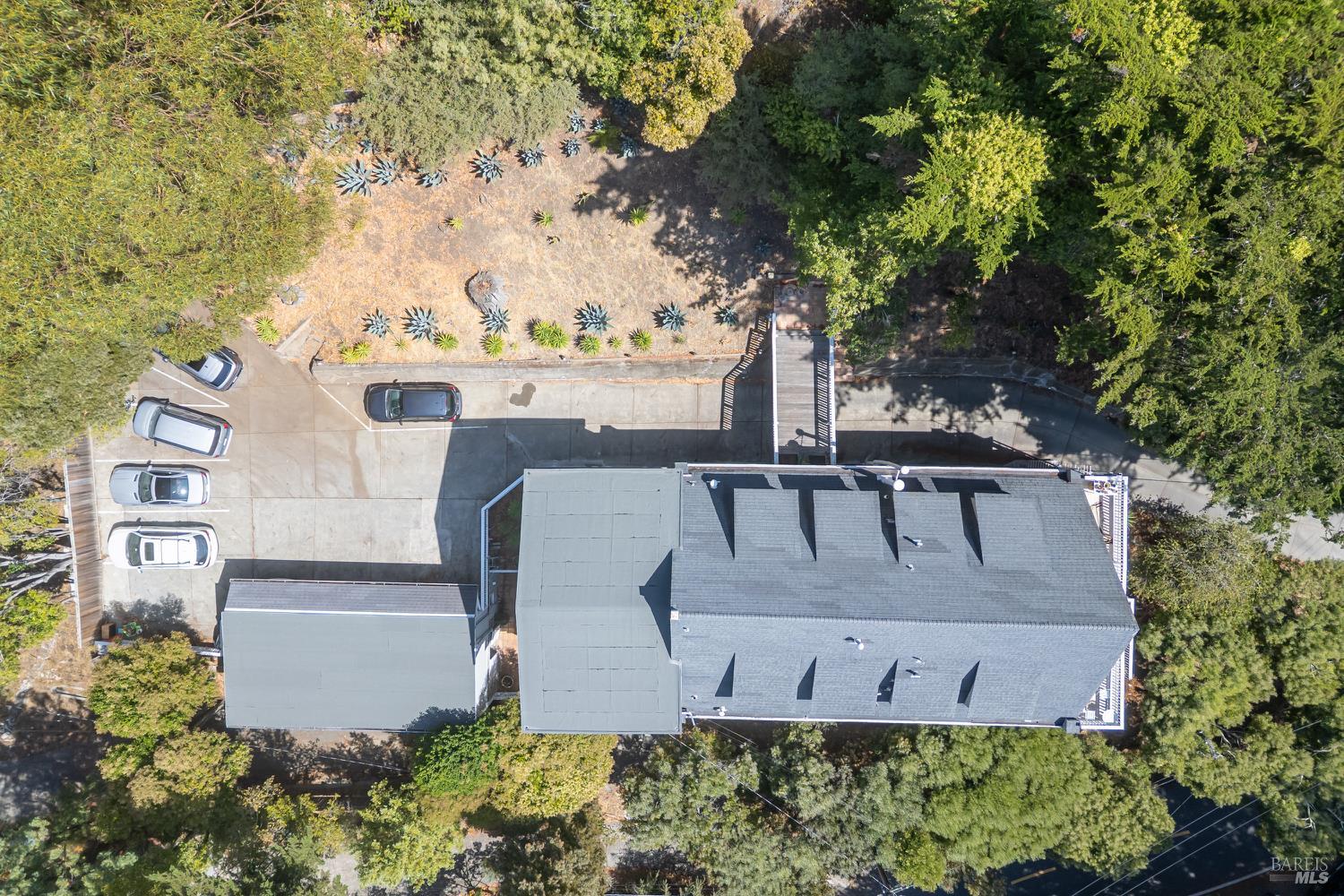 Detail Gallery Image 4 of 38 For 65 Summit Ave, Mill Valley,  CA 94941 - – Beds | – Baths