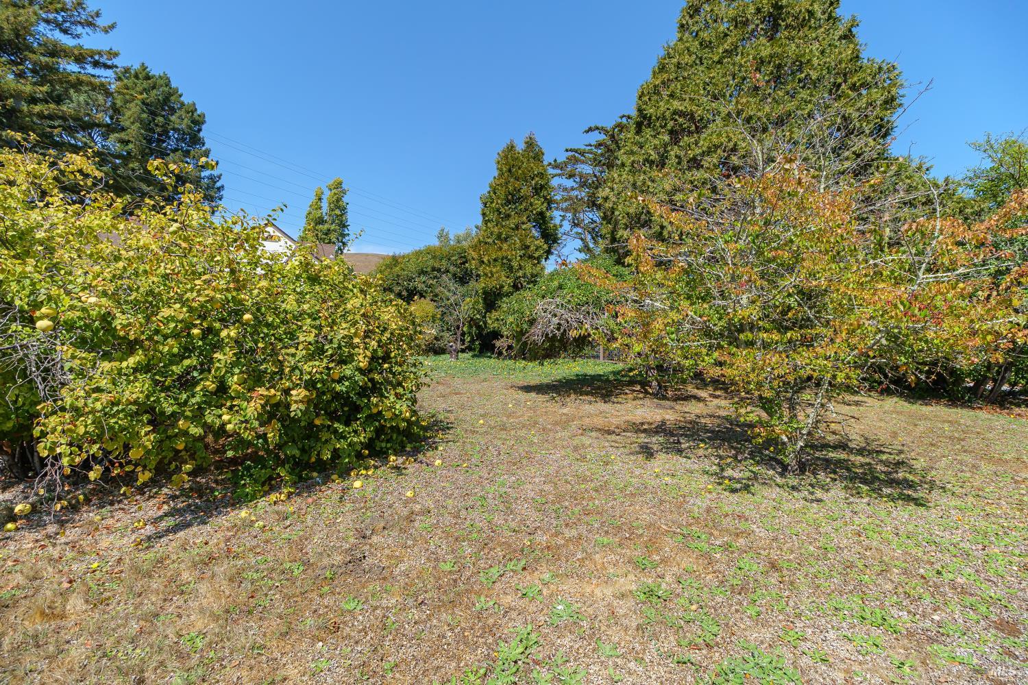 Detail Gallery Image 26 of 35 For 20 Shell Rd, Mill Valley,  CA 94941 - 3 Beds | 1/1 Baths