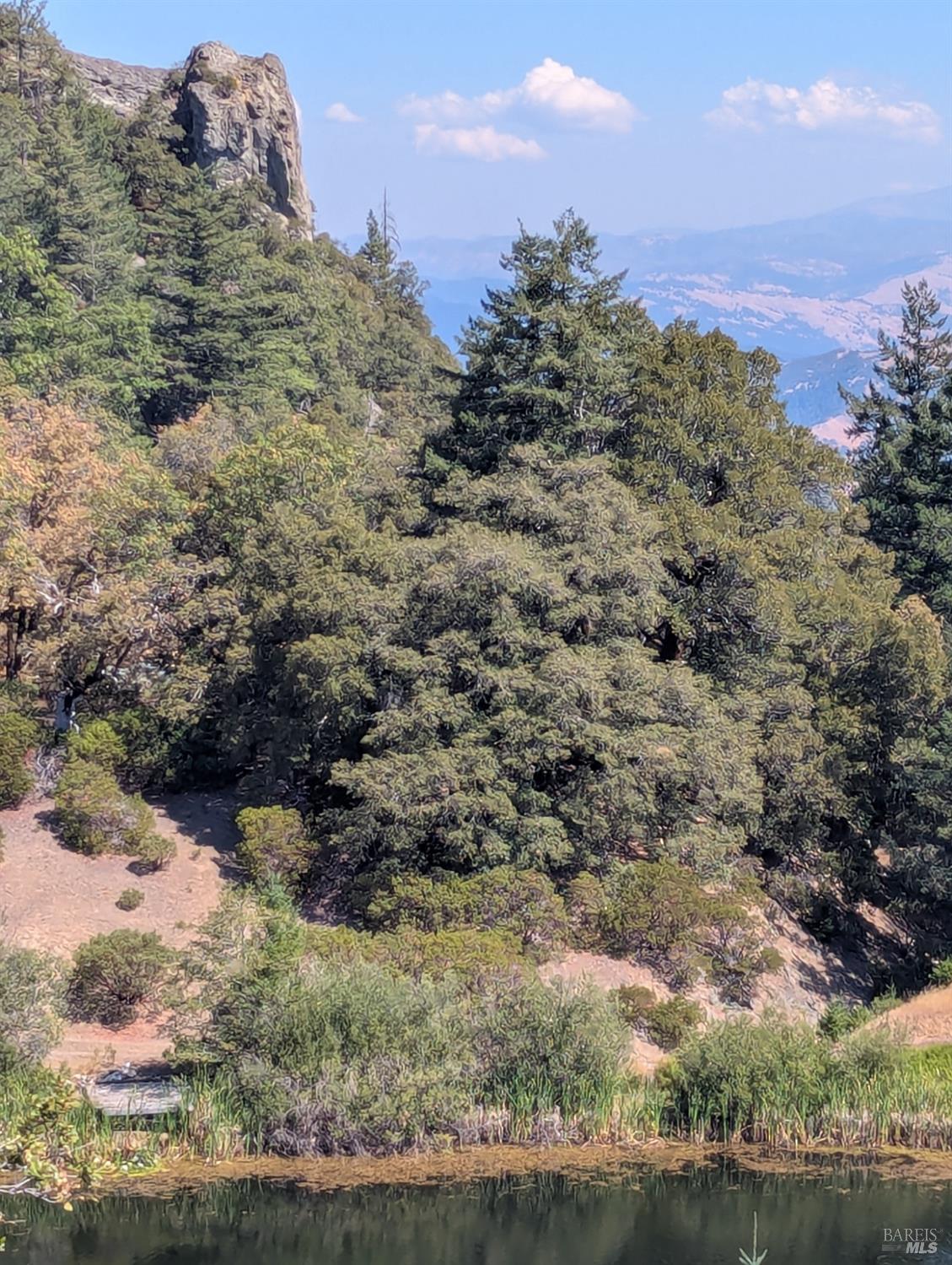 Detail Gallery Image 21 of 29 For 0 Registered Guest Rd, Laytonville,  CA 95454 - – Beds | – Baths