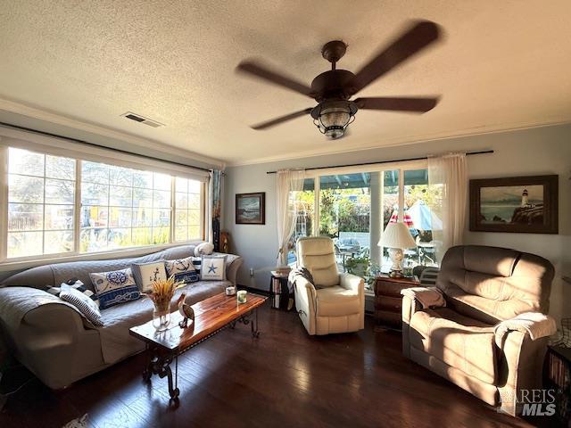 Detail Gallery Image 26 of 39 For 6420 Pineview Ct, Clearlake,  CA 95422 - 3 Beds | 1/1 Baths