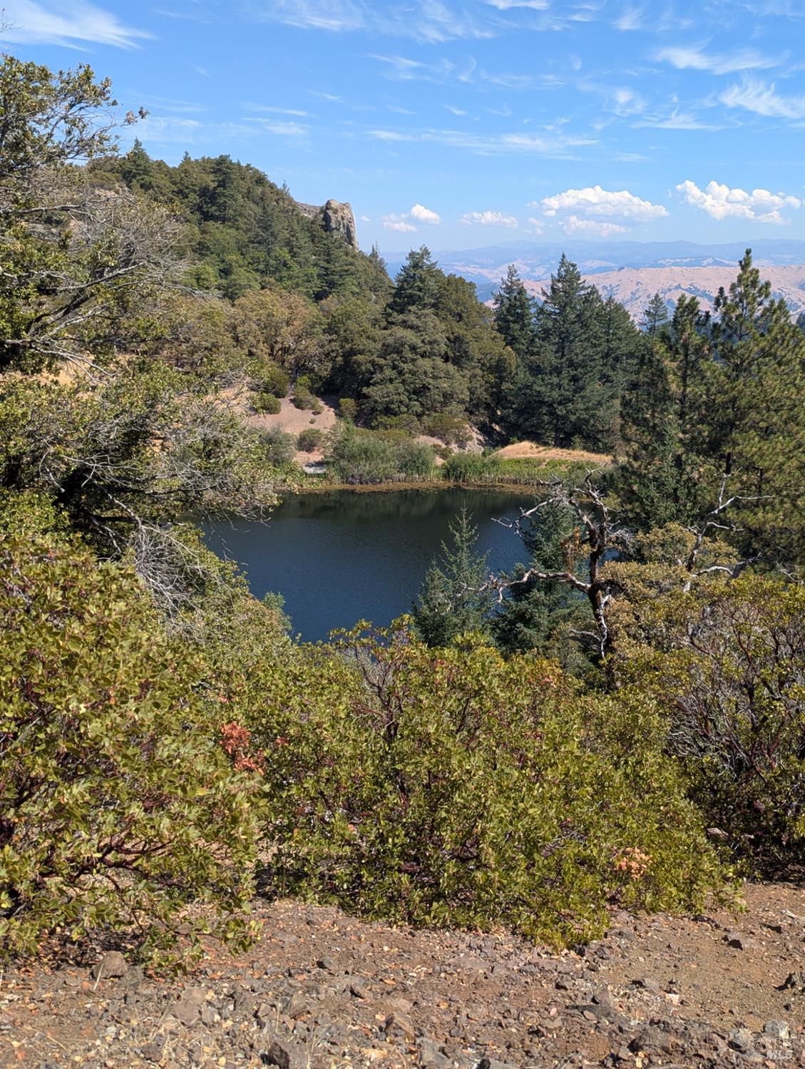 Detail Gallery Image 22 of 29 For 0 Registered Guest Rd, Laytonville,  CA 95454 - – Beds | – Baths
