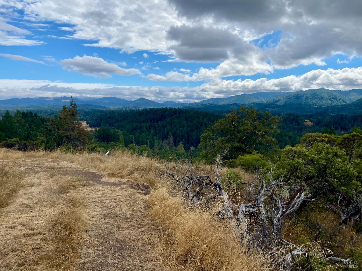 Detail Gallery Image 12 of 15 For 46700 Highway 101 Unkn, Laytonville,  CA 95454 - – Beds | – Baths