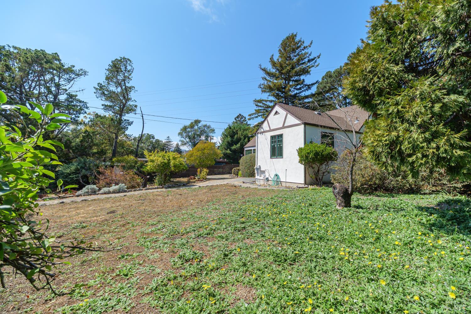 Detail Gallery Image 25 of 35 For 20 Shell Rd, Mill Valley,  CA 94941 - 3 Beds | 1/1 Baths