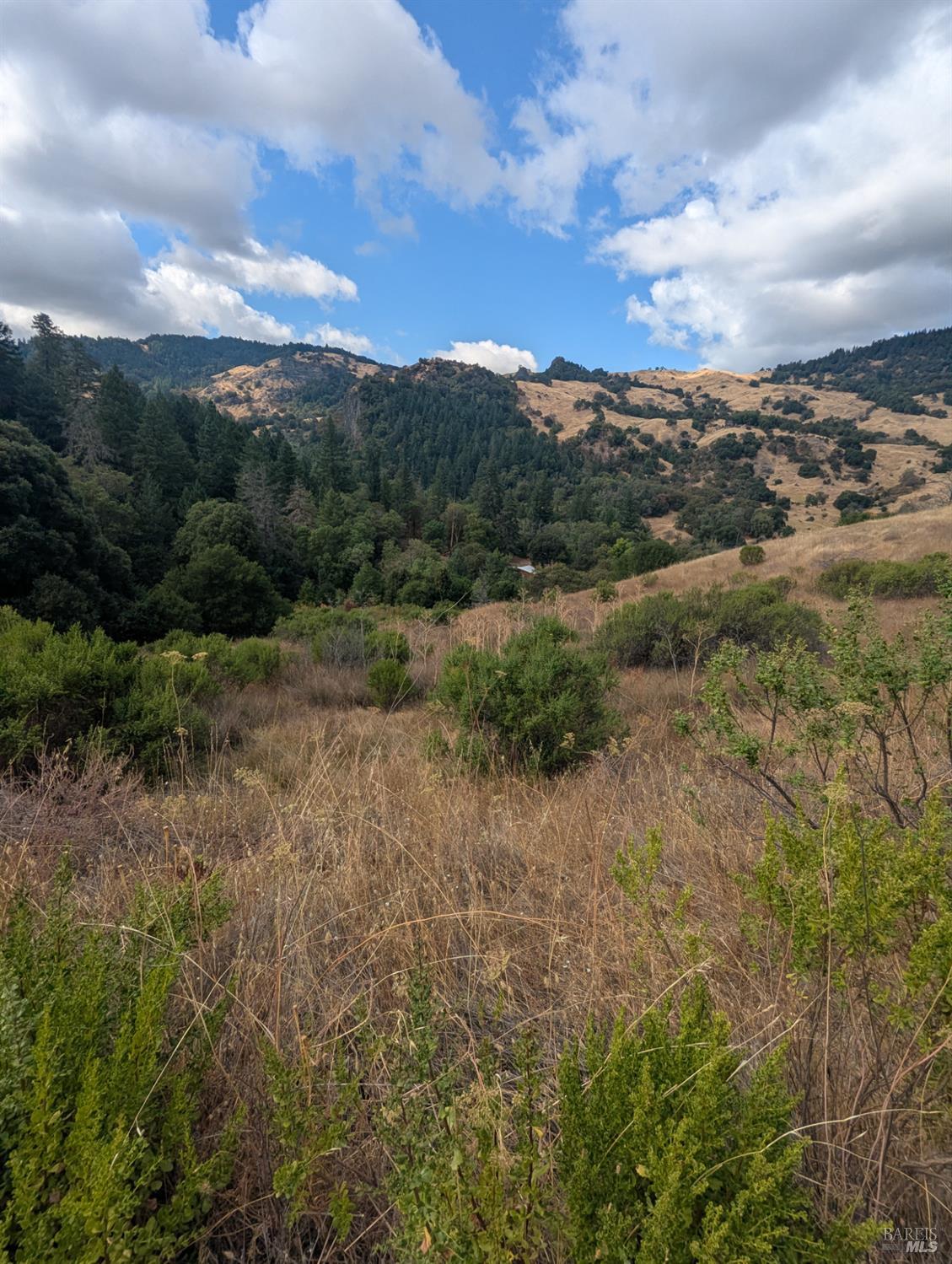 Detail Gallery Image 29 of 39 For 59002 George Washington Rock Rd, Leggett,  CA 95585 - – Beds | – Baths