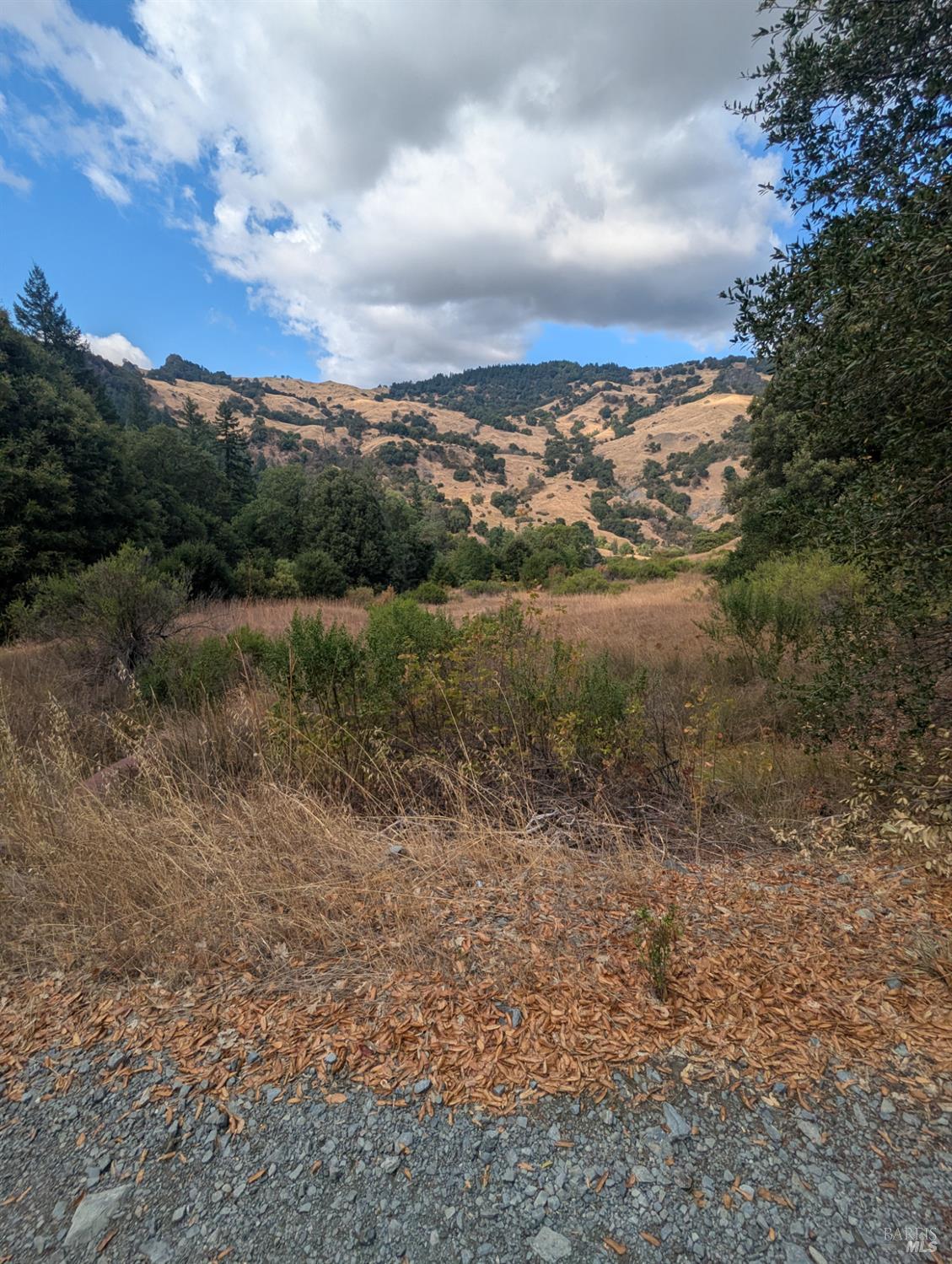 Detail Gallery Image 30 of 39 For 59002 George Washington Rock Rd, Leggett,  CA 95585 - – Beds | – Baths