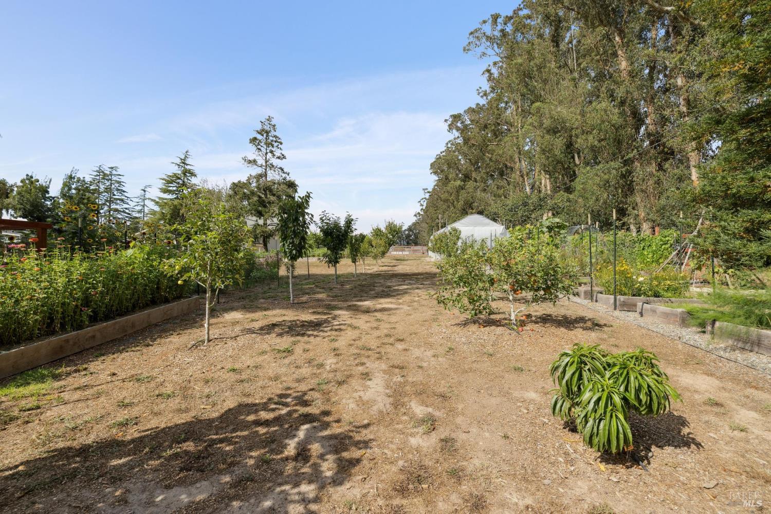 Detail Gallery Image 44 of 62 For 5611 Blank Rd, Sebastopol,  CA 95472 - 3 Beds | 2 Baths
