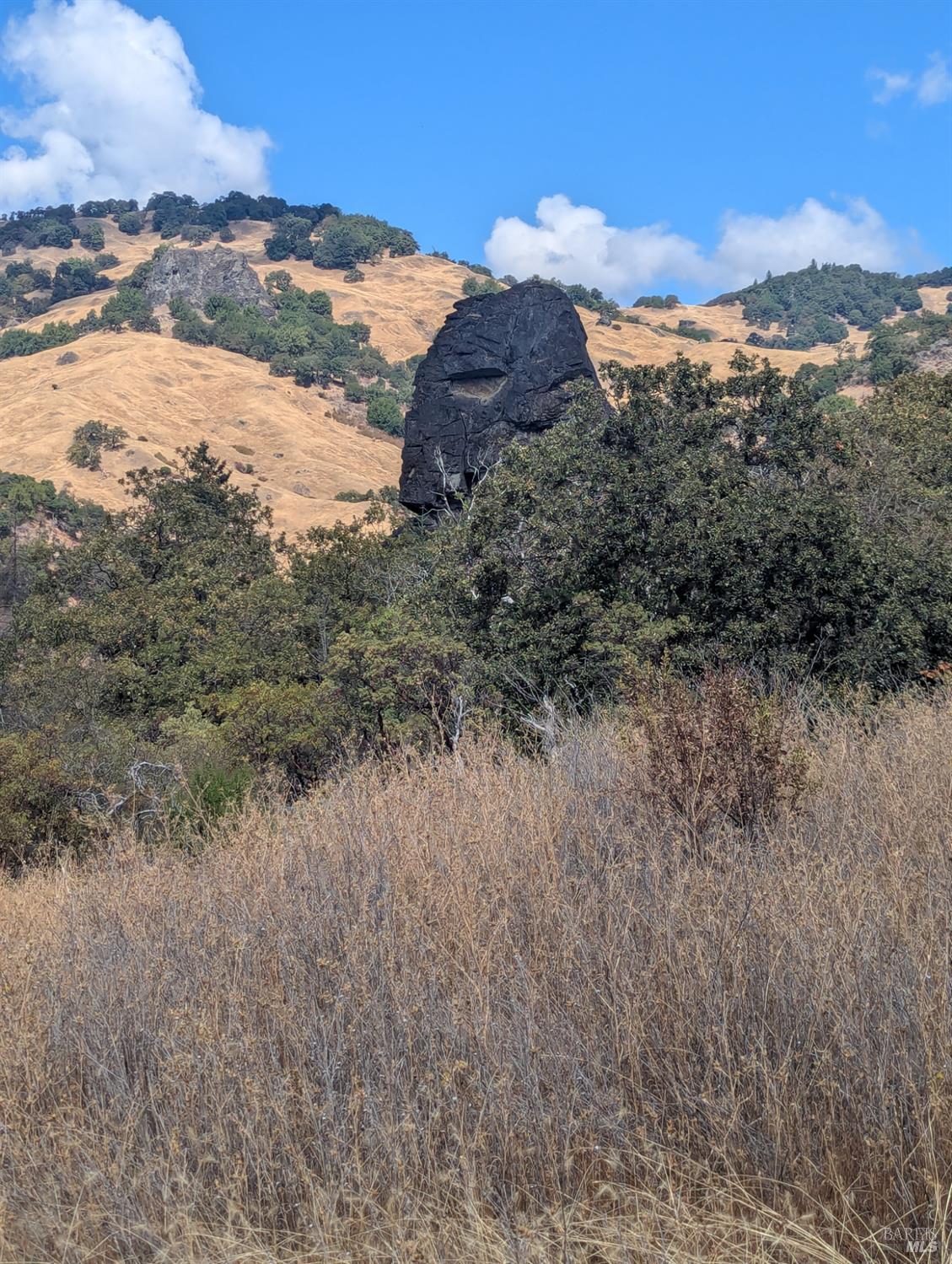 Detail Gallery Image 7 of 39 For 59002 George Washington Rock Rd, Leggett,  CA 95585 - – Beds | – Baths