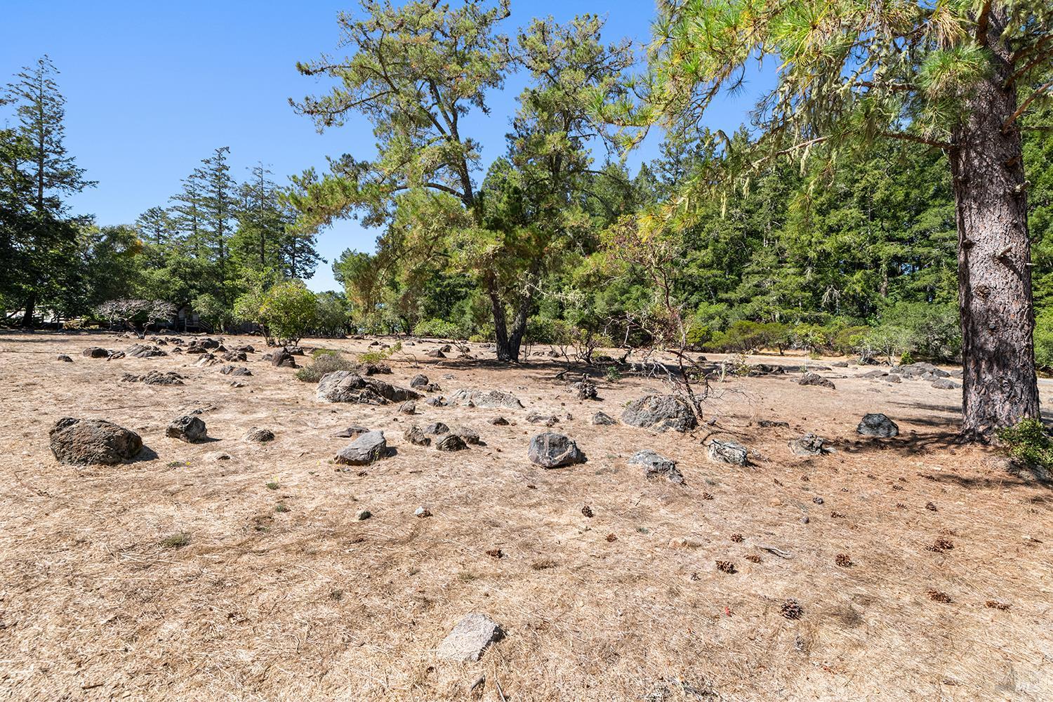 Detail Gallery Image 68 of 79 For 12936 Bones Ln, Sebastopol,  CA 95472 - 3 Beds | 2 Baths