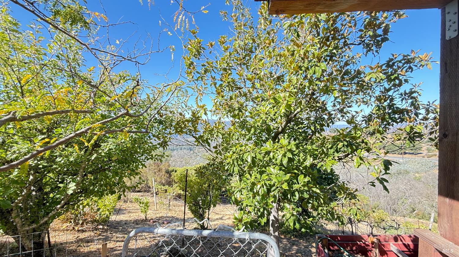 Detail Gallery Image 26 of 54 For 920 Crestmont Dr, Angwin,  CA 94508 - 5 Beds | 4 Baths