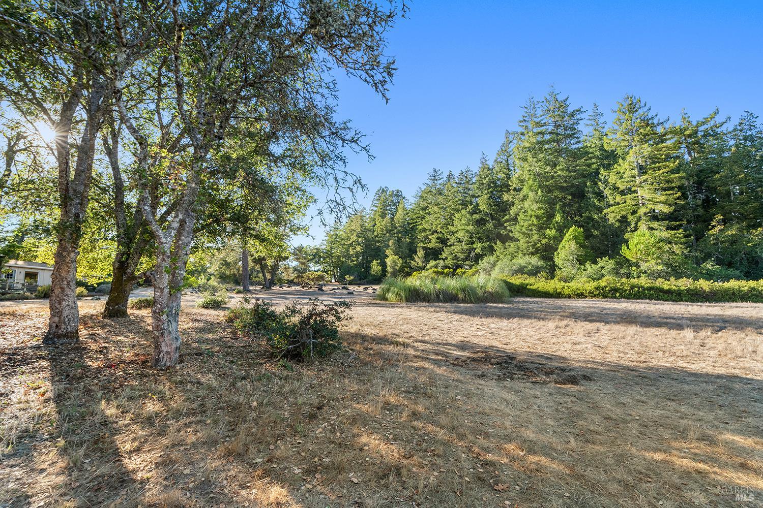 Detail Gallery Image 4 of 79 For 12936 Bones Ln, Sebastopol,  CA 95472 - 3 Beds | 2 Baths
