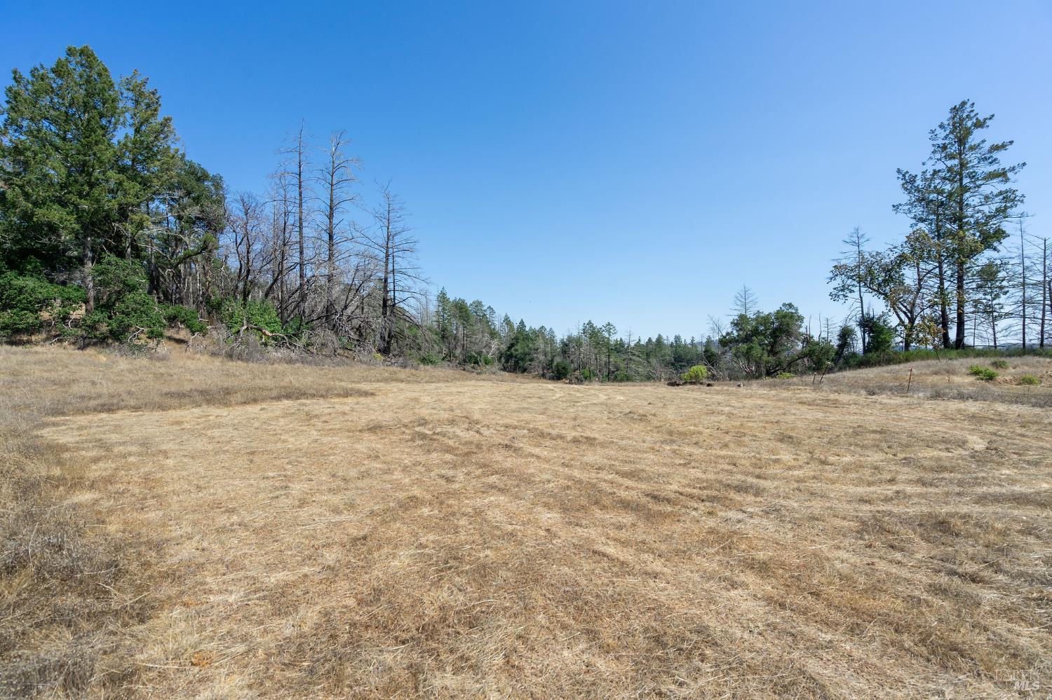 Detail Gallery Image 41 of 71 For 6583 St Helena Rd, Santa Rosa,  CA 95404 - – Beds | – Baths