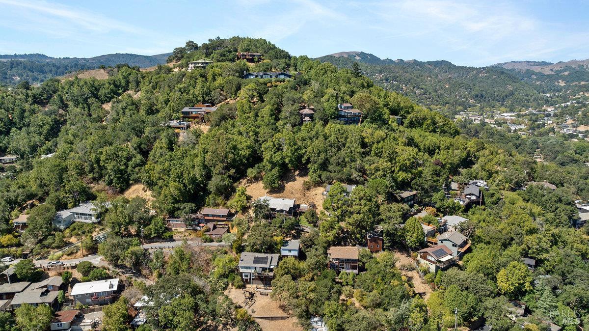 Detail Gallery Image 48 of 73 For 445 Scenic Ave, San Anselmo,  CA 94960 - 2 Beds | 2 Baths
