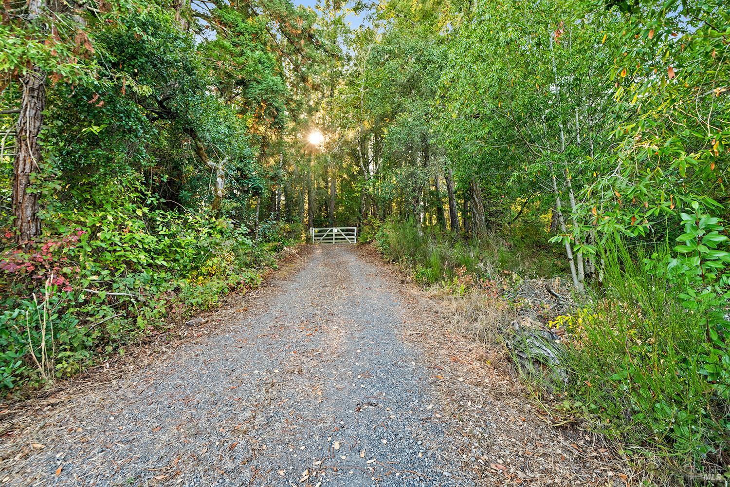 Detail Gallery Image 61 of 79 For 12936 Bones Ln, Sebastopol,  CA 95472 - 3 Beds | 2 Baths