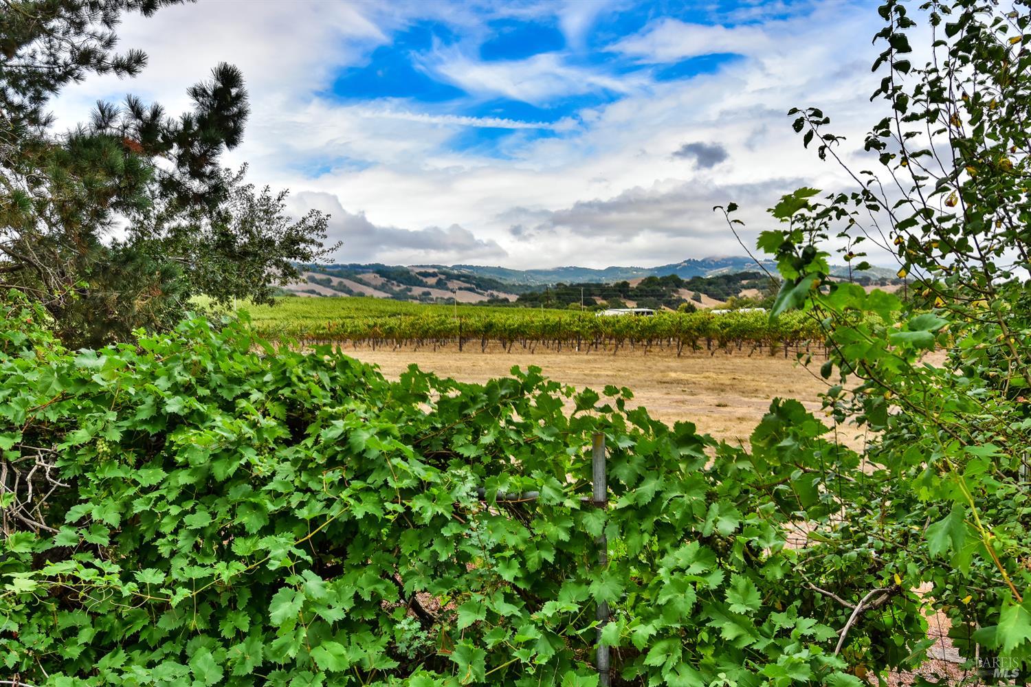Detail Gallery Image 30 of 37 For 20772 Temelec Dr, Sonoma,  CA 95476 - 3 Beds | 2 Baths