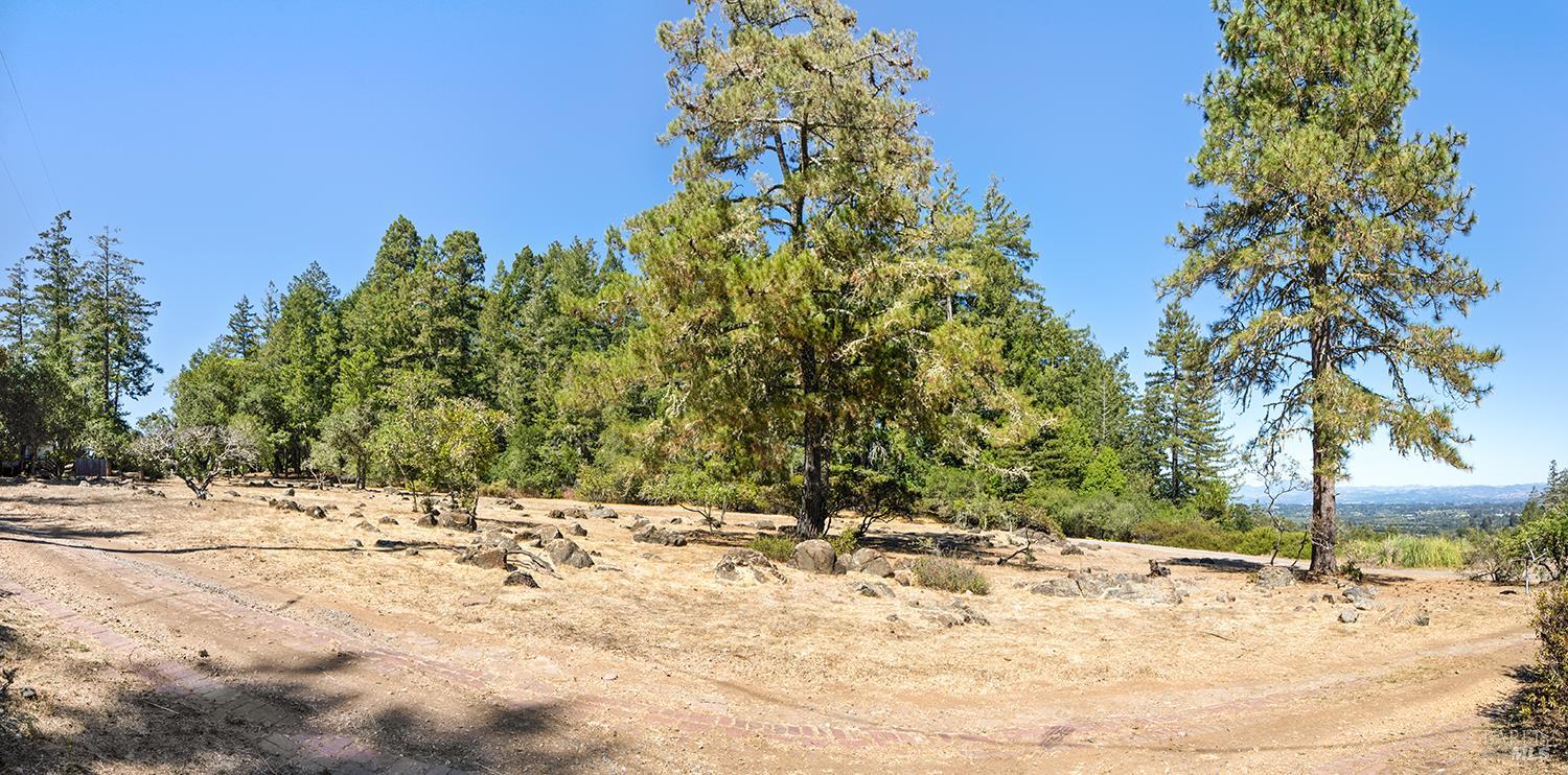 Detail Gallery Image 66 of 79 For 12936 Bones Ln, Sebastopol,  CA 95472 - 3 Beds | 2 Baths
