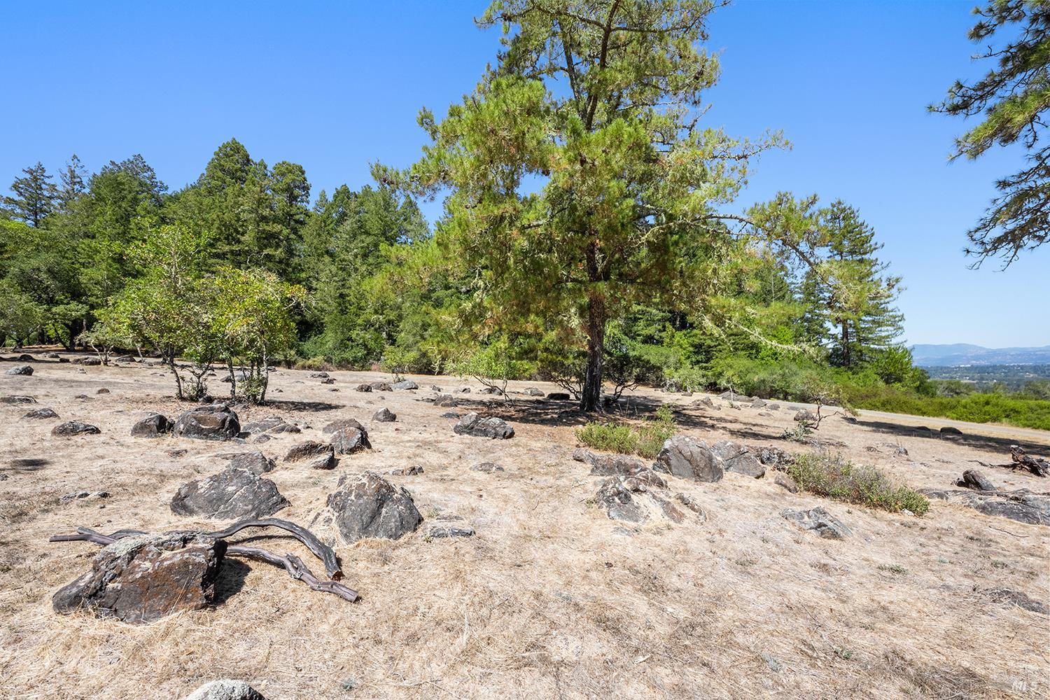 Detail Gallery Image 59 of 79 For 12936 Bones Ln, Sebastopol,  CA 95472 - 3 Beds | 2 Baths