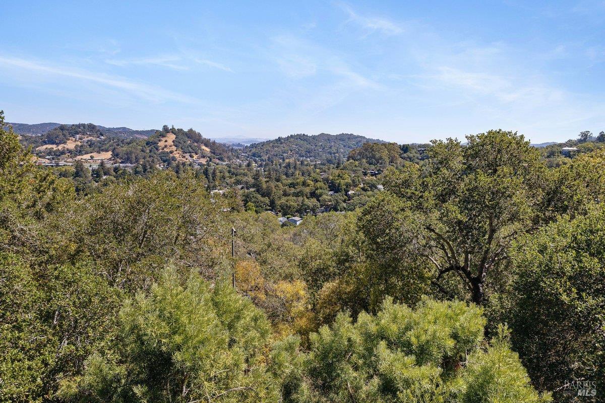 Detail Gallery Image 20 of 73 For 445 Scenic Ave, San Anselmo,  CA 94960 - 2 Beds | 2 Baths