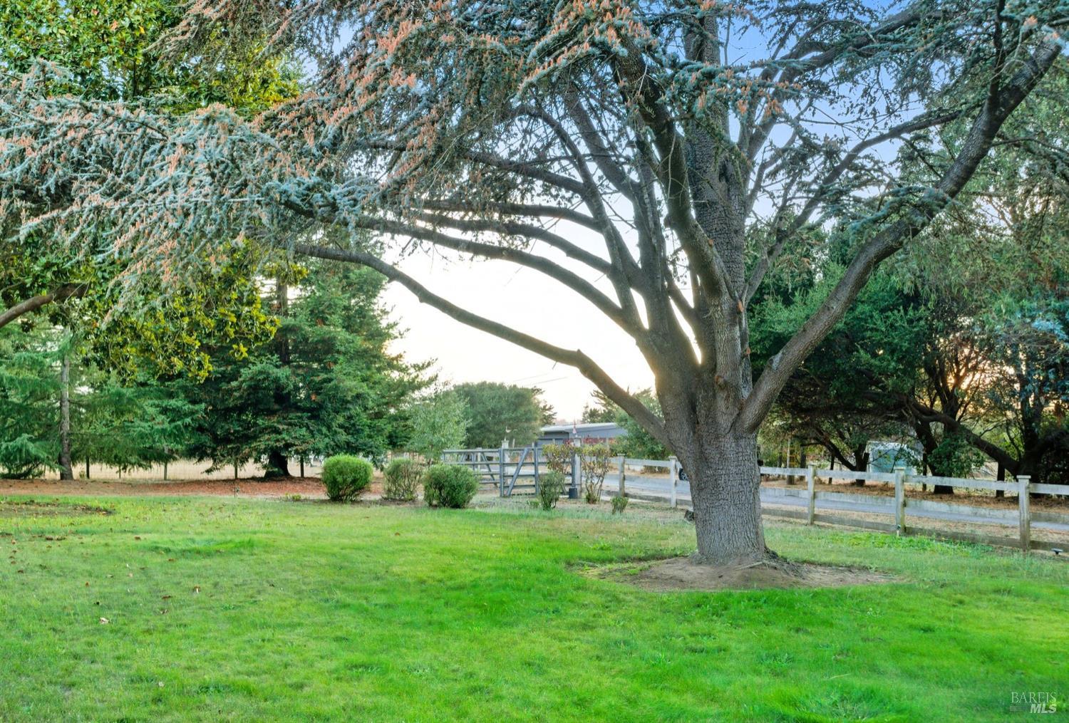 Detail Gallery Image 37 of 60 For 4047 Petaluma Blvd, Petaluma,  CA 94952 - 3 Beds | 2 Baths