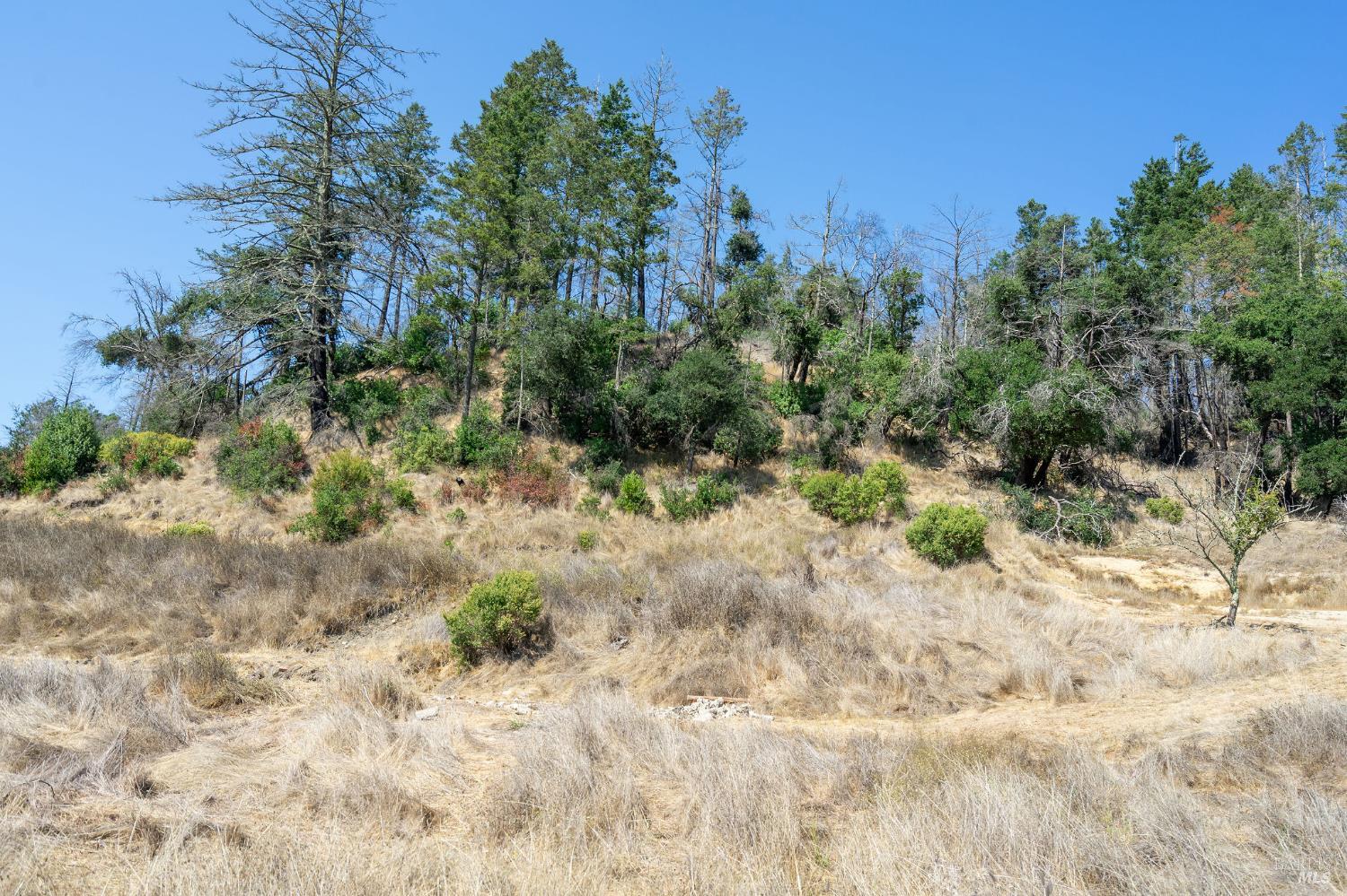 Detail Gallery Image 34 of 71 For 6583 St Helena Rd, Santa Rosa,  CA 95404 - – Beds | – Baths