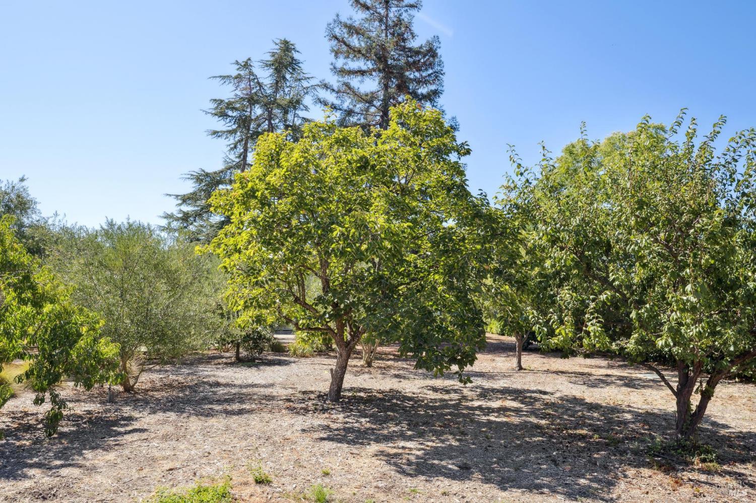 Detail Gallery Image 68 of 96 For 20685 5th St, Sonoma,  CA 95476 - 3 Beds | 3/1 Baths