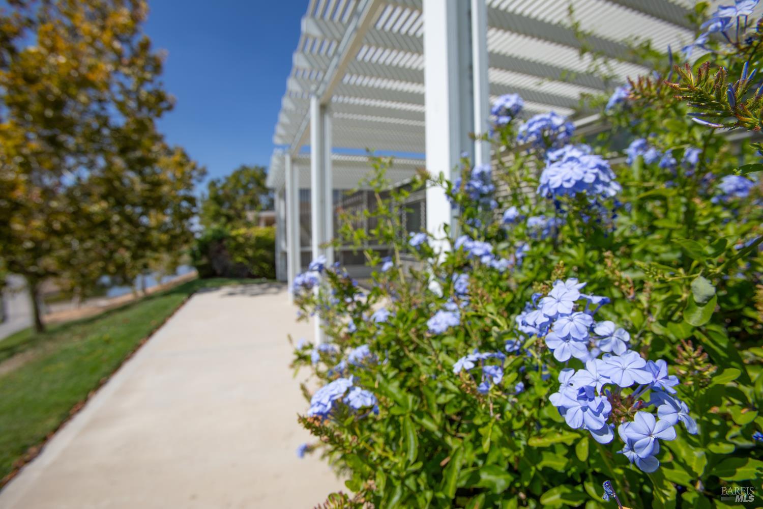 Detail Gallery Image 13 of 69 For 319 Cedar Ridge Dr, Rio Vista,  CA 94571 - 2 Beds | 2/1 Baths